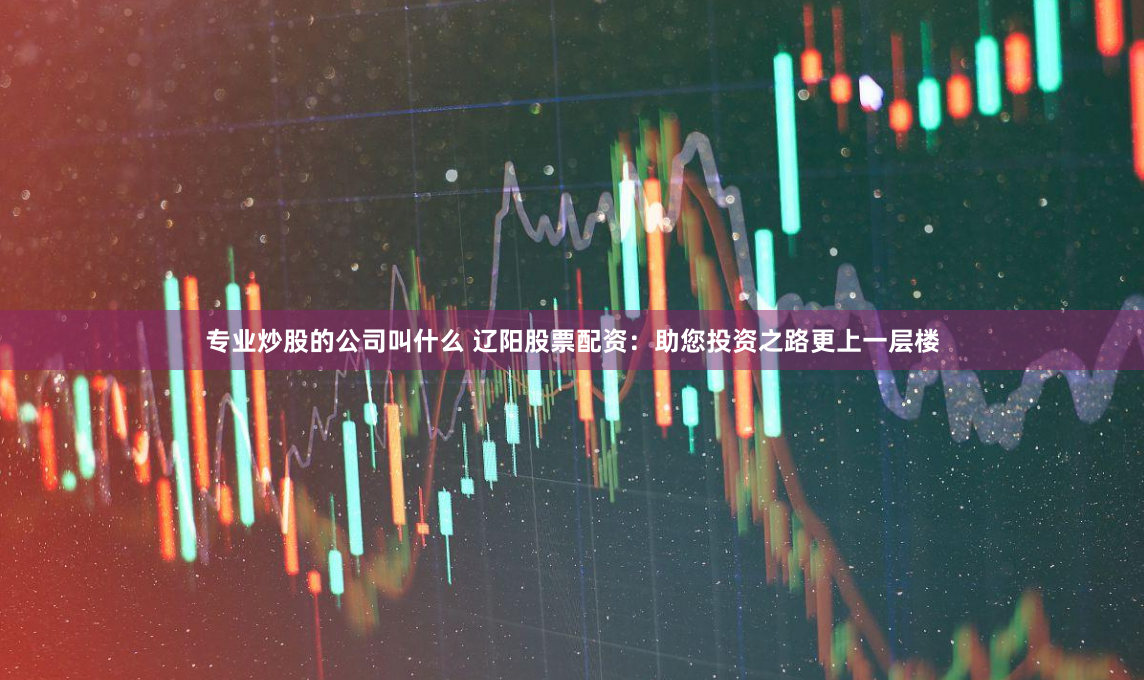专业炒股的公司叫什么 辽阳股票配资：助您投资之路更上一层楼