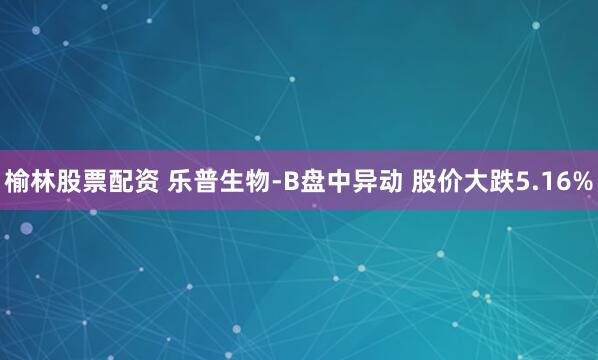 榆林股票配资 乐普生物-B盘中异动 股价大跌5.16%