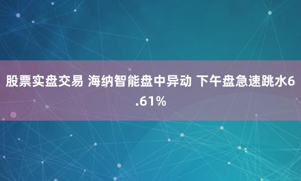 股票实盘交易 海纳智能盘中异动 下午盘急速跳水6.61%