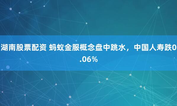 湖南股票配资 蚂蚁金服概念盘中跳水，中国人寿跌0.06%