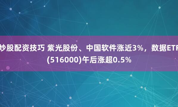 炒股配资技巧 紫光股份、中国软件涨近3%，数据ETF(516000)午后涨超0.5%