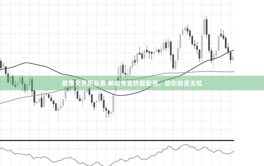 股票交易所股票 解锁专业炒股配资，助你投资无忧