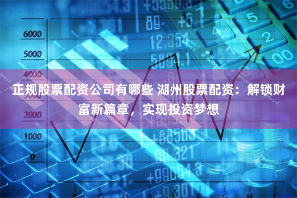 正规股票配资公司有哪些 湖州股票配资：解锁财富新篇章，实现投资梦想